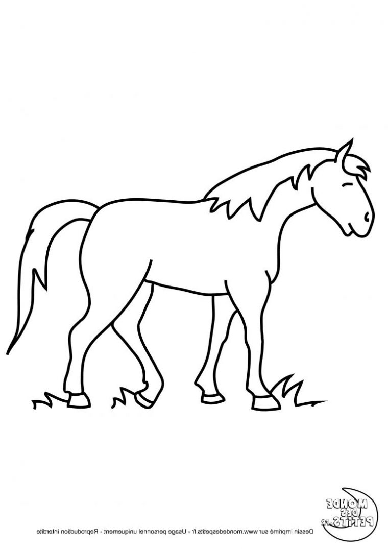 Dessin Facile De Cheval Beau Galerie Monde Des Petits à Dessin Facile De Cheval