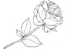 Dessin Facile Fleur Rose - Dessin Facile destiné Dessiner Rose