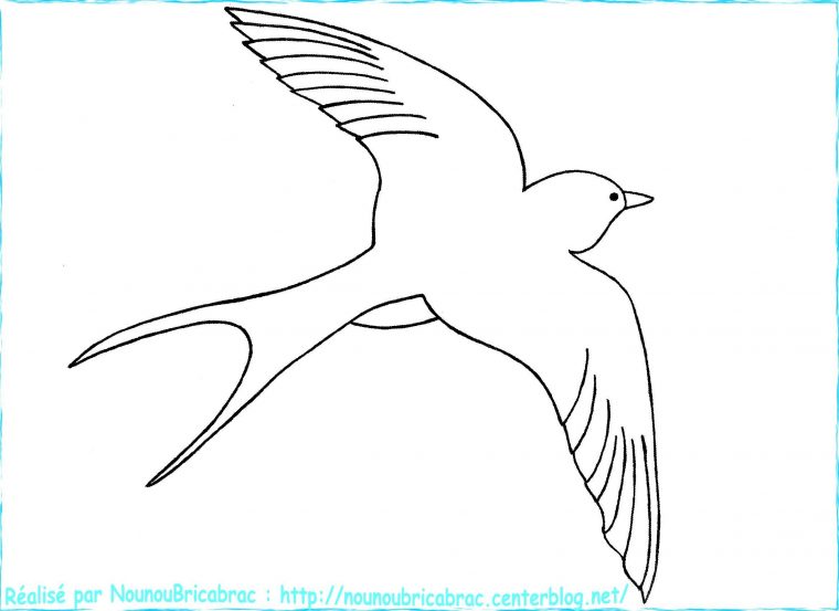 Dessin Facile Hirondelle  Dessins Faciles, Dessin, Coloriage tout Dessine Un Oiseau