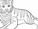 Dessin Facile Tigre - Comment Dessiner La Tete D Un Tigre dedans Comment Dessiner Un Bébé Tigre