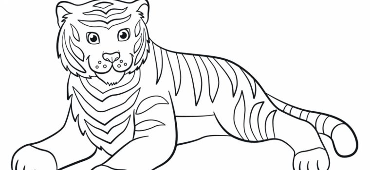 Dessin Facile Tigre – Comment Dessiner La Tete D Un Tigre dedans Comment Dessiner Un Bébé Tigre