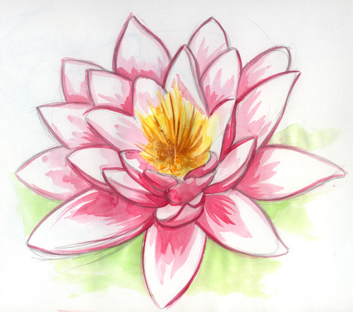 Dessin Fleur De Lotus tout Dessin De Fleurs 