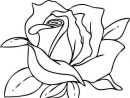 Dessin Fleur Rose Élégant Photographie Coloriage Fleur concernant Dessin De Rose A Imprimer