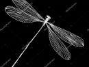 Dessin Insecte Libellule — Image Vectorielle Goldenshrimp tout Libellule Dessin