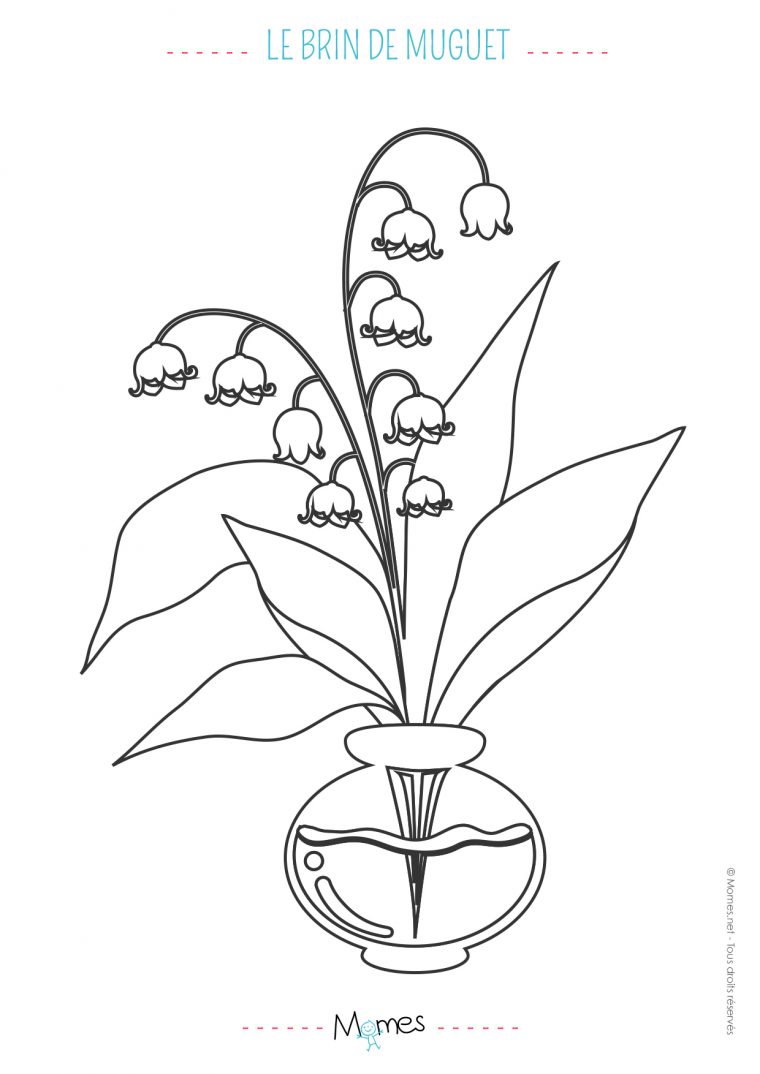 Dessin Muguet – Les Dessins Et Coloriage destiné Coloriage À Faire