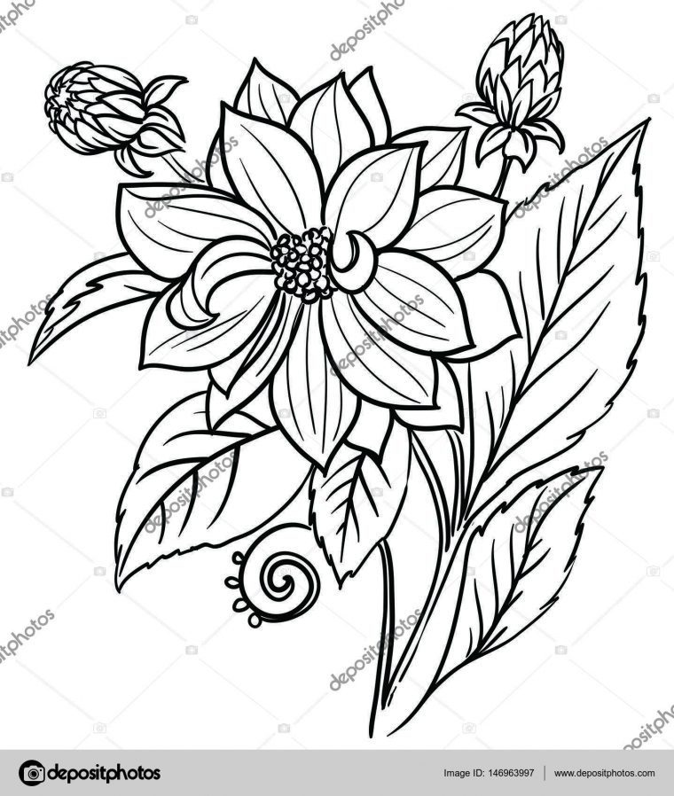 Dessin Noir Et Blanc Bouquet De Fleurs intérieur Belle Fleur Dessin