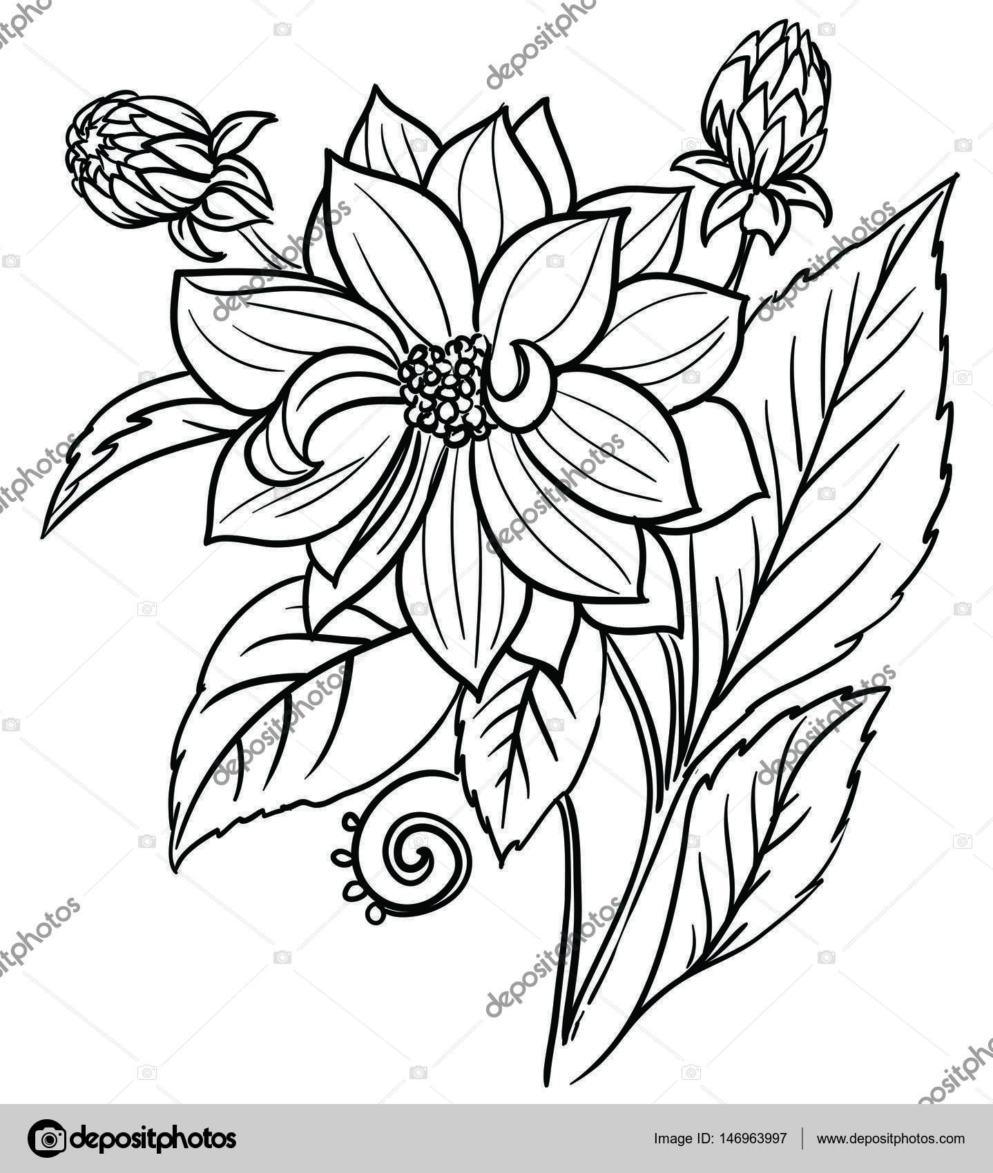 Dessin Noir Et Blanc Bouquet De Fleurs intérieur Belle Fleur Dessin 