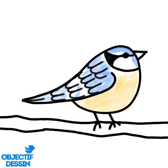 Dessin Oiseau Sur Branche Facile (16) - Objectif Dessin dedans Dessin Facile Oiseau 