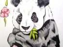 Dessin Panda destiné Panda Dessin
