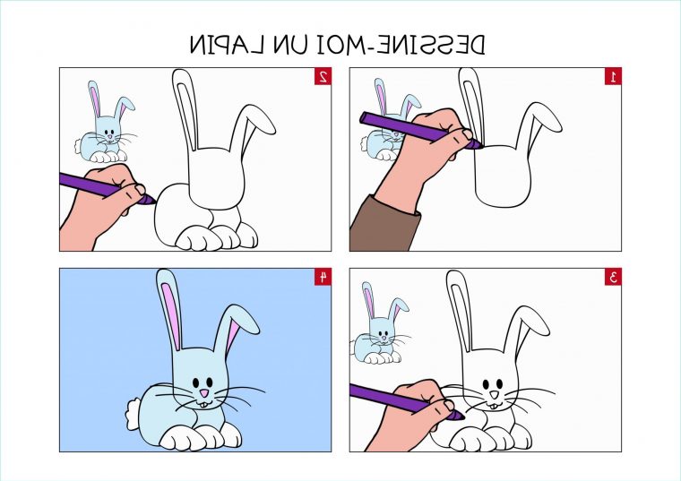 Dessin Par Étapes Unique Photographie Apprendre À Dessiner avec Apprendre A Dessiner Un Lapin