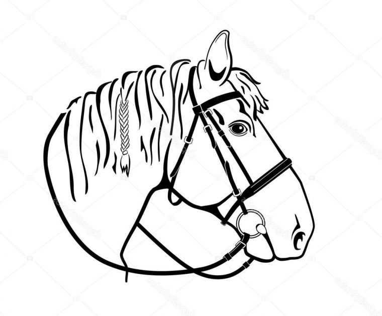 Dessin Tete De Cheval Facile Inspirant Image Tête De concernant Cheval A Dessiner Facile