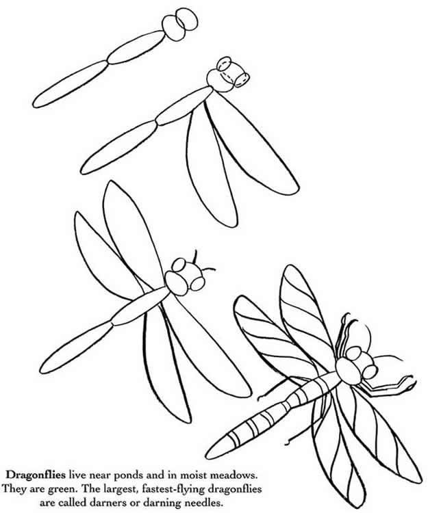 Dessiner Une Cigale Facile Dessin De Noel A Imprimer Pour avec Apprendre A Dessiner Une Fourmi