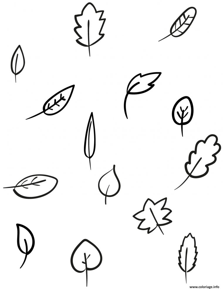 Dessins De Feuilles D Automne  Coloriage Automne Ramasser tout Feuille D Automne Dessin