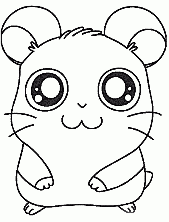 Dessins De Hamtaro À Colorier tout Hamster À Colorier