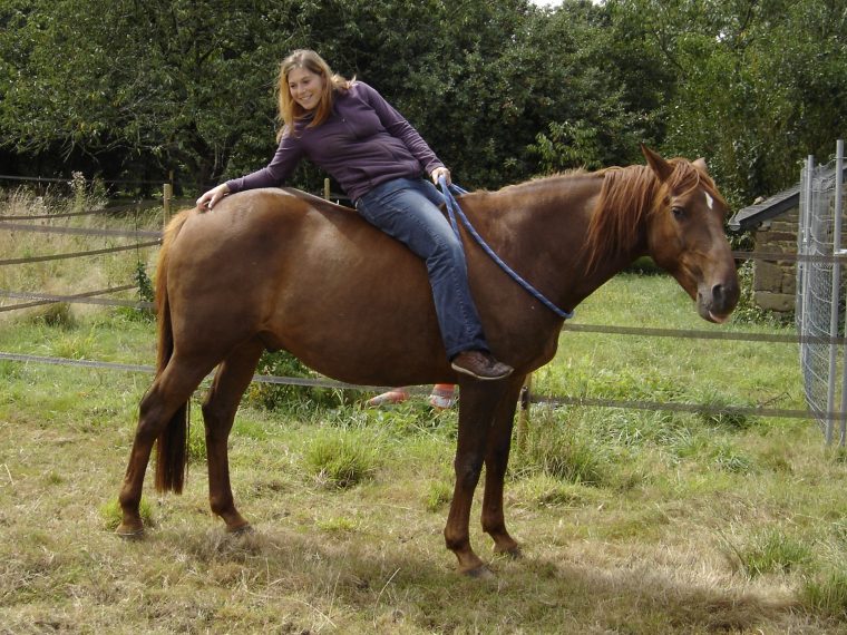 Dessins En Couleurs À Imprimer : Cheval, Numéro : 683203 concernant Cheval A Imprimer En Couleur