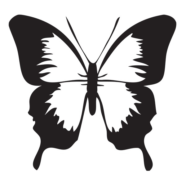 Dessins En Couleurs À Imprimer : Papillon, Numéro : 301201 pour Forme Papillon À Découper 