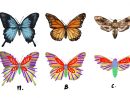 Dessins En Couleurs À Imprimer : Papillon, Numéro : 5A78Bae1 pour Papillon Image Dessin