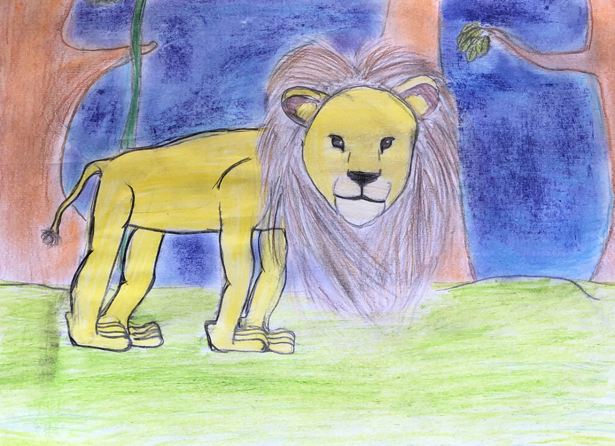 Dessins Sur Le Film Du Roi Lion tout Dessins Lion