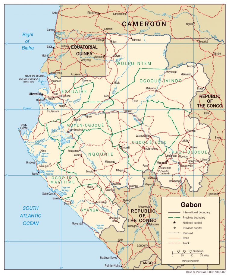 Detailed Gabon Administrative Map With All Cities avec Carte Administrative Du Gabon