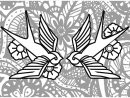 Deux Hirondelles - Coloriage D'Oiseaux - Coloriages Pour pour Coloriage D Hirondelle