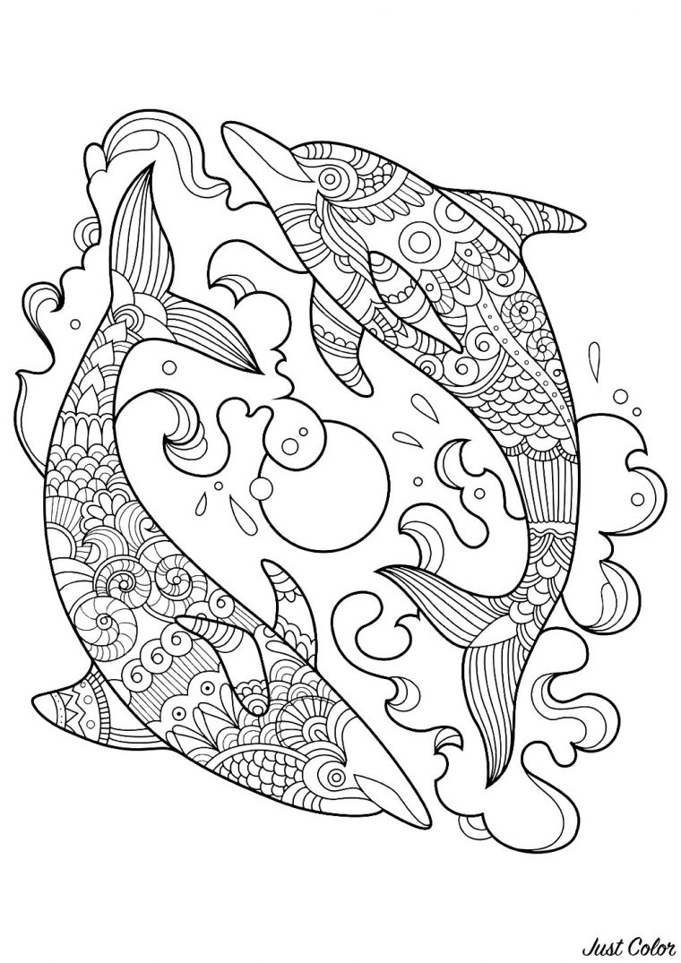 Deux Jolis Dauphins – Coloriage De Dauphins – Coloriages à Coloriage Dauphin