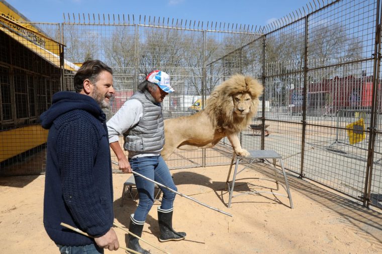 Diaporama. Avec Les Animaux Du Cirque Zavatta, À Châteauroux à Animaux Du Cirque