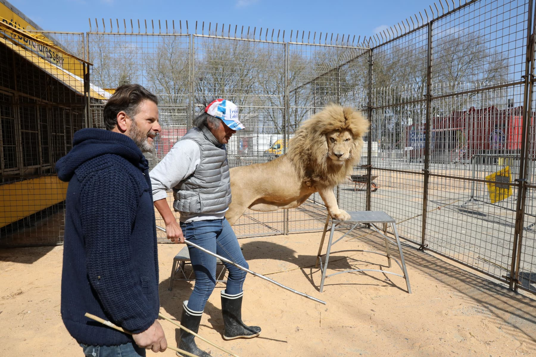 Diaporama. Avec Les Animaux Du Cirque Zavatta, À Châteauroux à Animaux Du Cirque 