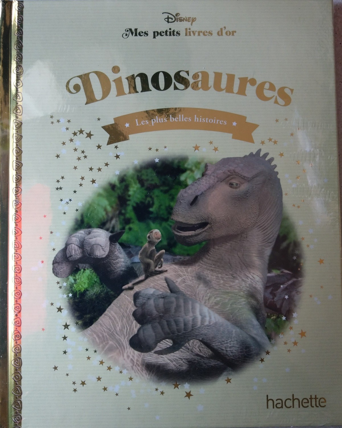Dinosaures - Objet Mes Petits Livres D'Or dedans Les Petits Dinosaures