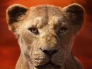 Disney A Dévoilé 11 Affiches Pour Les Personnages intérieur Affiche Le Roi Lion