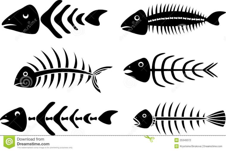 Divers Pochoirs D'Arêtes De Poisson Illustration De à Dessin Poisson Mort