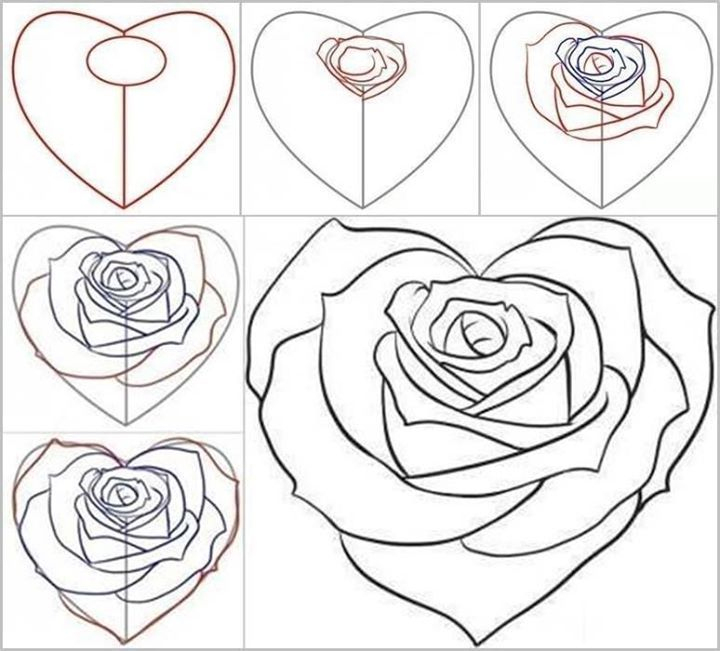Diy &amp; Crafts  Dessin Rose, Comment Dessiner Une Fleur dedans Dessiner Rose
