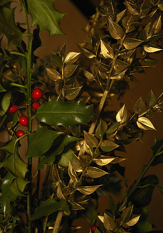 Diy : Faire Un Bouquet De Houx Pour Noël Avec Des Branches concernant Houx De Noel