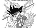 Dragon Ball - Perfect Edition Volume 1 Vf - Lecture En avec Dragon Ball Manga En Ligne