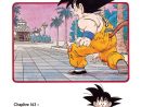 Dragon Ball - Perfect Edition Volume 11 Vf - Lecture En intérieur Dragon Ball Manga En Ligne