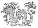 Dragon Complexe - Dragons - Coloriages Difficiles Pour Adultes intérieur Dessin Dragon