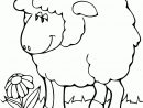 【Nouveau 2019】 Coloriage Mouton À Imprimer - Coloriage À à Coloriage Mouton