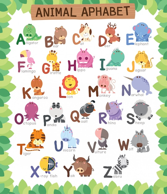 Éducation De L&amp;#039;Alphabet Des Animaux Pour Les Enfants destiné L Alphabet Pour Enfants 