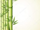Educationstander: Dessin Graphique Bamboo intérieur Dessin De Bambou