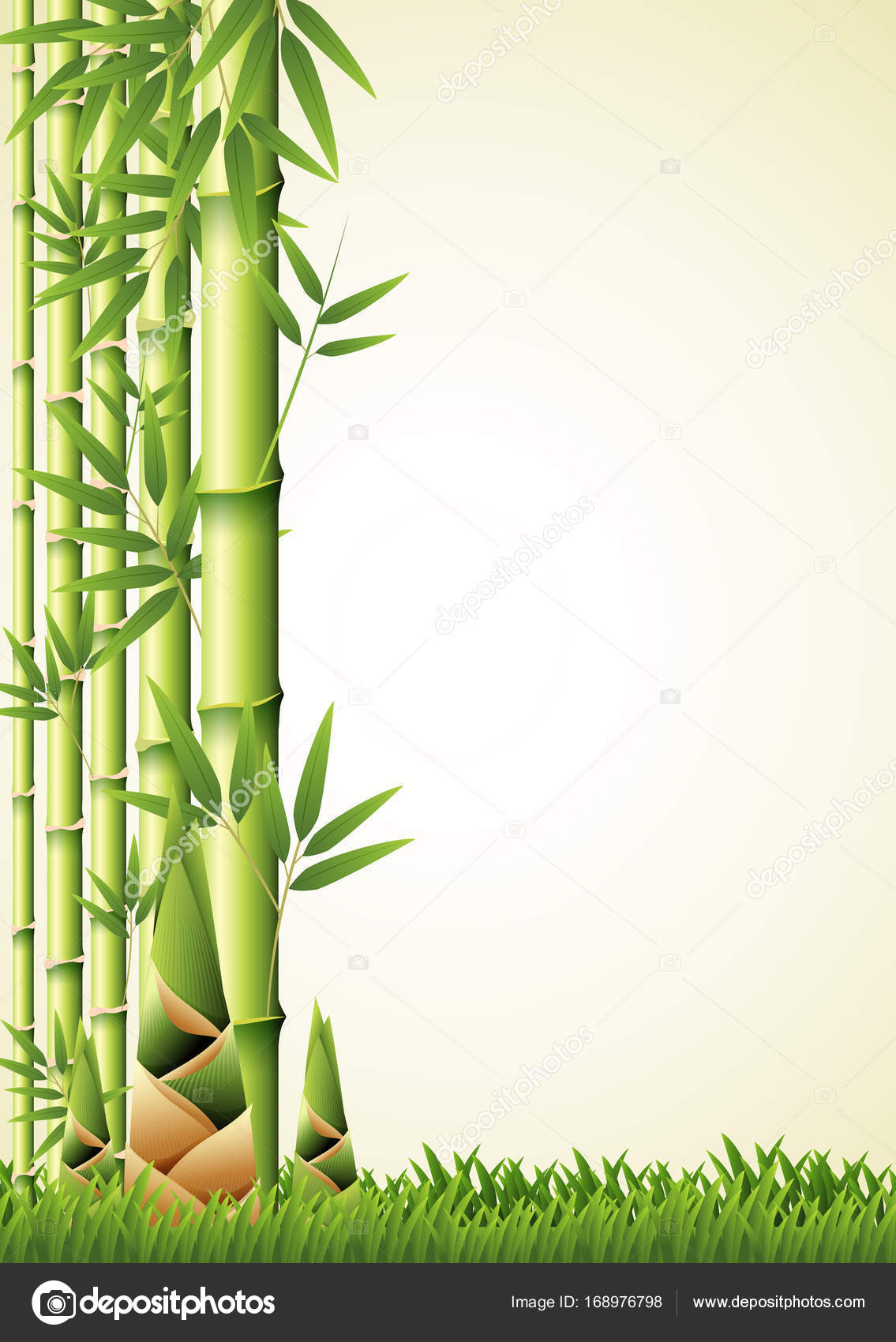 Educationstander: Dessin Graphique Bamboo intérieur Dessin De Bambou 