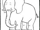 Éléphant - Kiddicolour pour Coloriage Elephant