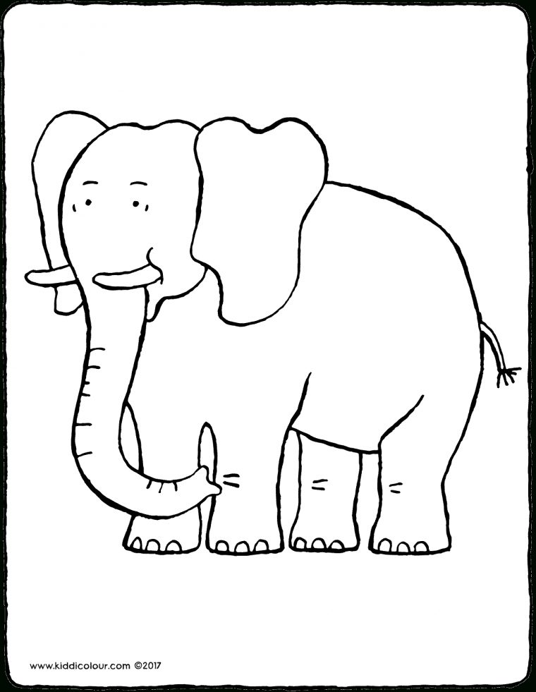 Éléphant – Kiddicolour pour Coloriage Elephant