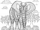 Elephant Par Alfadanz - Eléphants - Coloriages Difficiles à Coloriage D Adulte