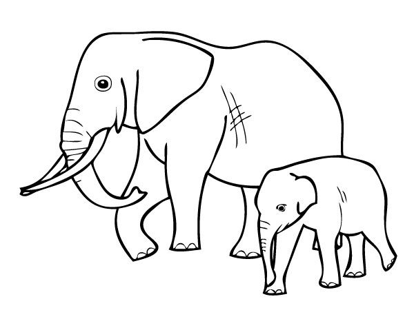 Éléphant,Coloriages Elephants,Coloriages Animaux avec Coloriage Savane Africaine