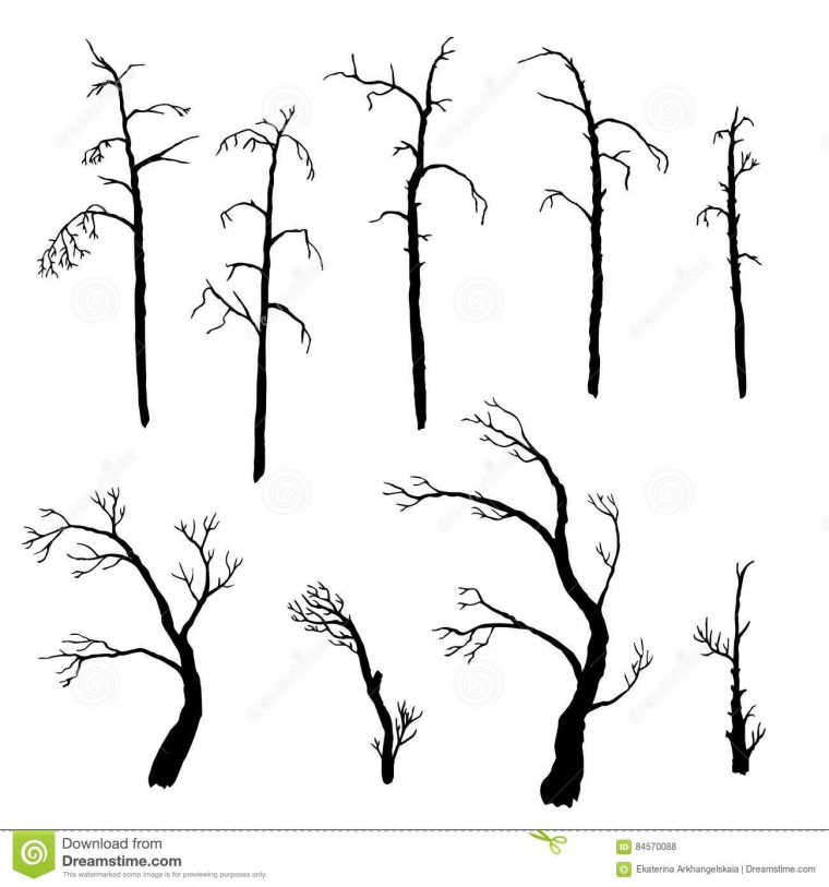 Ensemble D'Arbres D'Hiver Illustration De Vecteur dedans Arbre En Hiver Dessin