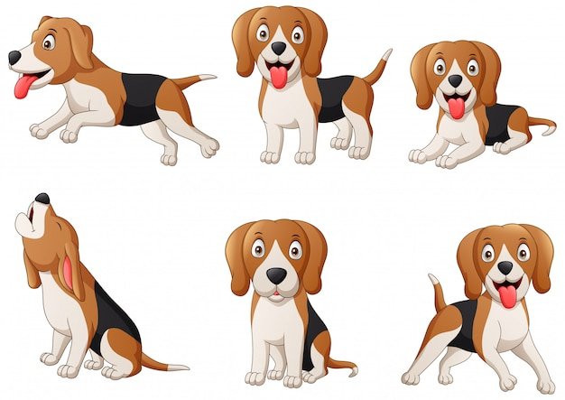 Ensemble De Dessin Animé De Chien Beagle. Illustration à Dessin Chiens 