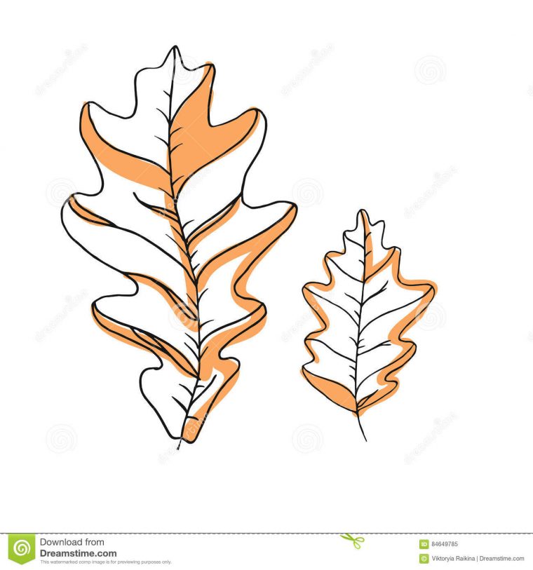 Ensemble De Dessin De Vecteur De Feuille Feuilles D dedans Dessin De Feuille D Arbre