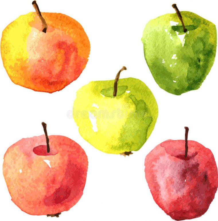 Ensemble De Pommes De Dessin D'Aquarelle Illustration De à Dessin Pommes