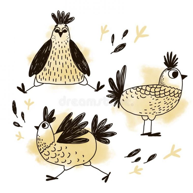 Ensemble De Poule Stylisée D'Isolement Illustration De à Dessin Stylisé Animaux