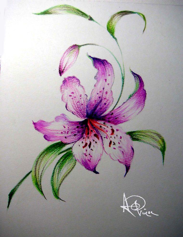 Épinglé Par Axelle ^-^ Sur Uage  Fleur De Lys Dessin dedans Dessin Une Fleur