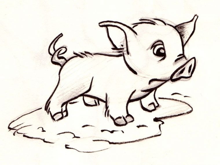 Épinglé Sur Cochon Dessin avec Dessin Cochon